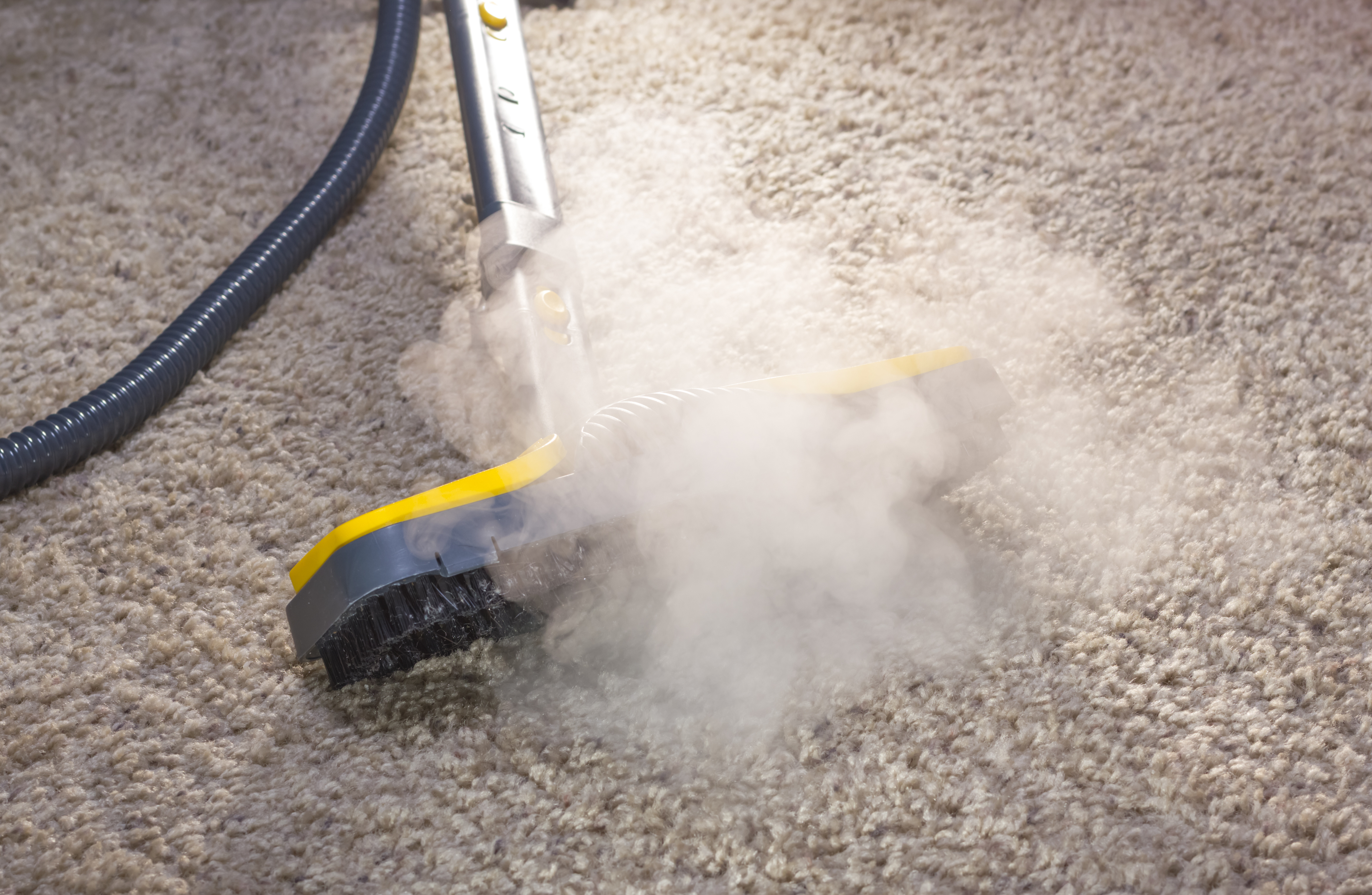 Пыль метод очистки. Пароочиститель для ковров. Уборка пыли. Чистка ковровых покрытий. Пароочиститель для мебели и ковров.